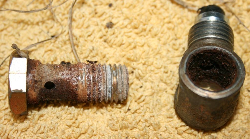oxidierte Schwenkverschraubung